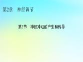 新教材2024版高中生物第2章神经调节第3节神经冲动的产生和传导课件新人教版选择性必修1