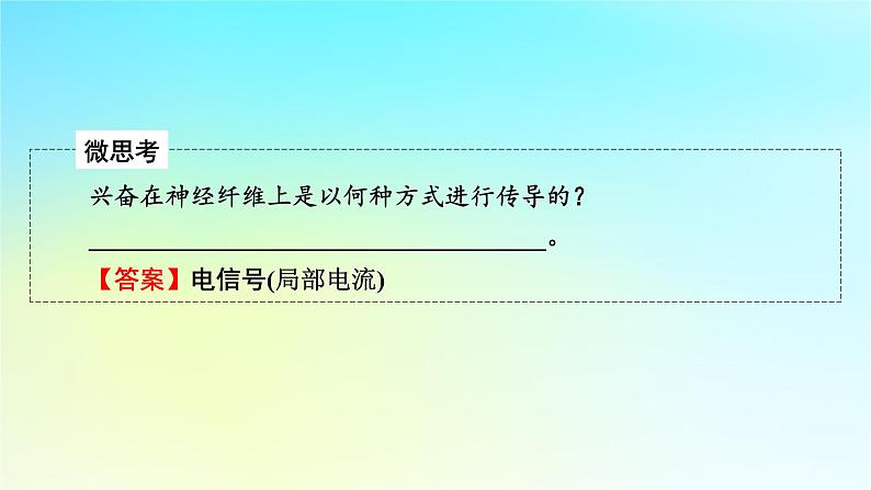 新教材2024版高中生物第2章神经调节第3节神经冲动的产生和传导课件新人教版选择性必修1第7页