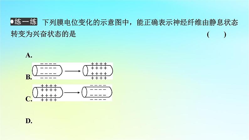 新教材2024版高中生物第2章神经调节第3节神经冲动的产生和传导课件新人教版选择性必修1第8页