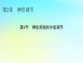 新教材2024版高中生物第2章神经调节第4节神经系统的分级调节课件新人教版选择性必修1