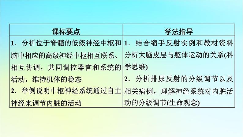 新教材2024版高中生物第2章神经调节第4节神经系统的分级调节课件新人教版选择性必修1第2页