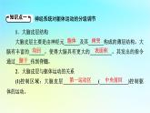 新教材2024版高中生物第2章神经调节第4节神经系统的分级调节课件新人教版选择性必修1