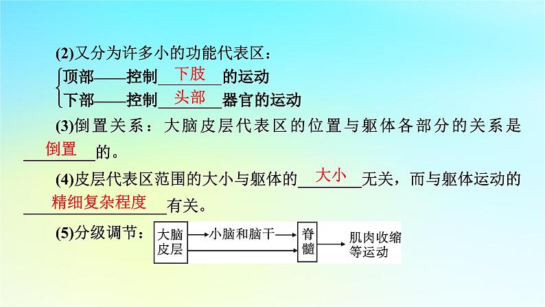 新教材2024版高中生物第2章神经调节第4节神经系统的分级调节课件新人教版选择性必修1第6页