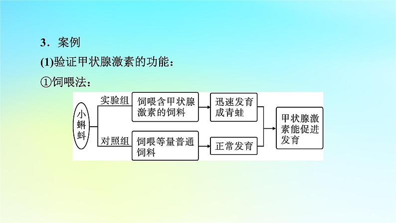 新教材2024版高中生物第3章体液调节微专题3动物激素的研究实例课件新人教版选择性必修103