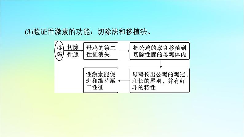 新教材2024版高中生物第3章体液调节微专题3动物激素的研究实例课件新人教版选择性必修105