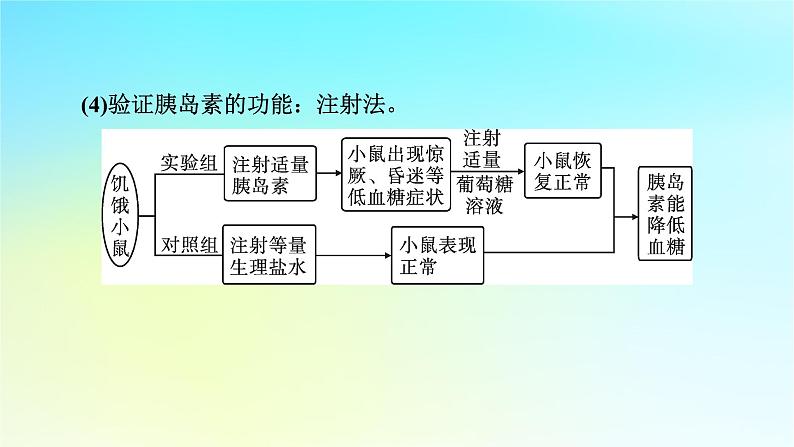 新教材2024版高中生物第3章体液调节微专题3动物激素的研究实例课件新人教版选择性必修106