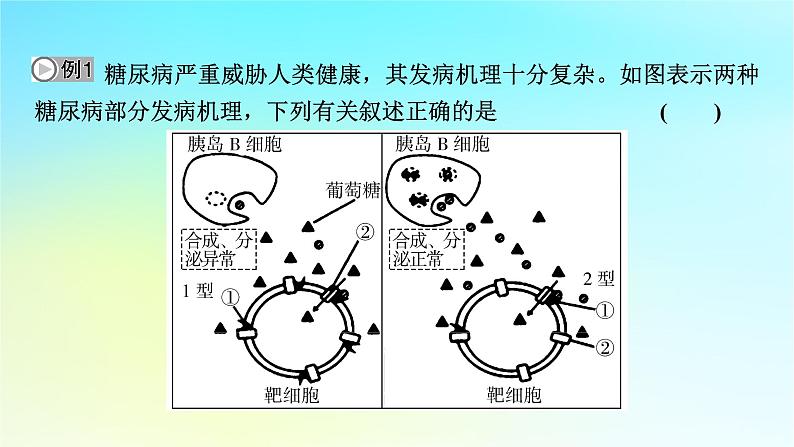 新教材2024版高中生物第3章体液调节微专题4糖尿病与血糖平衡调节课件新人教版选择性必修105