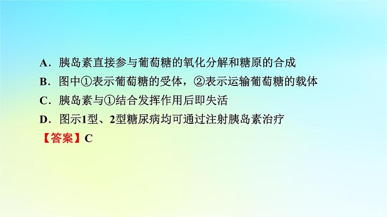 新教材2024版高中生物第3章体液调节微专题4糖尿病与血糖平衡调节课件新人教版选择性必修106