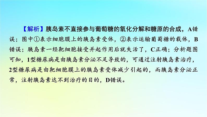 新教材2024版高中生物第3章体液调节微专题4糖尿病与血糖平衡调节课件新人教版选择性必修107