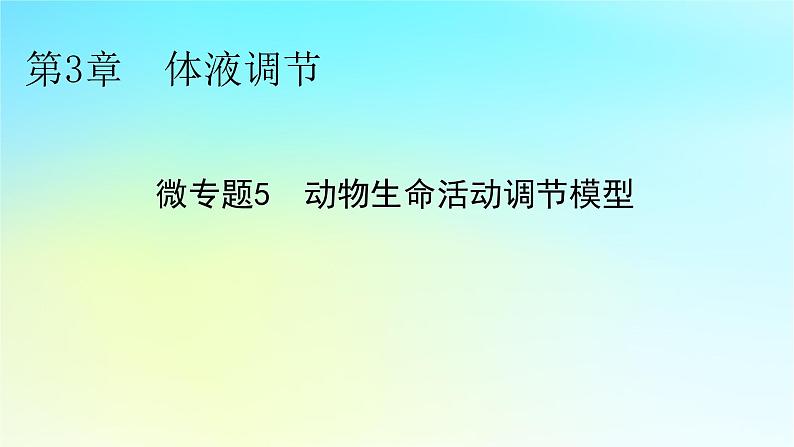 新教材2024版高中生物第3章体液调节微专题5动物生命活动调节模型课件新人教版选择性必修101