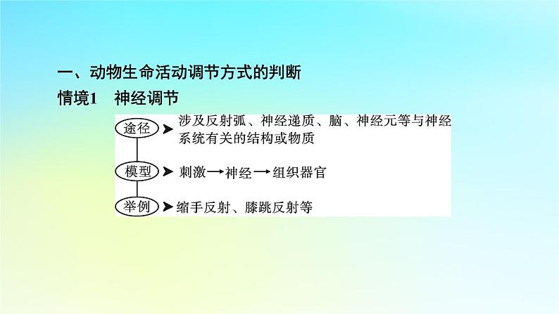 新教材2024版高中生物第3章体液调节微专题5动物生命活动调节模型课件新人教版选择性必修102