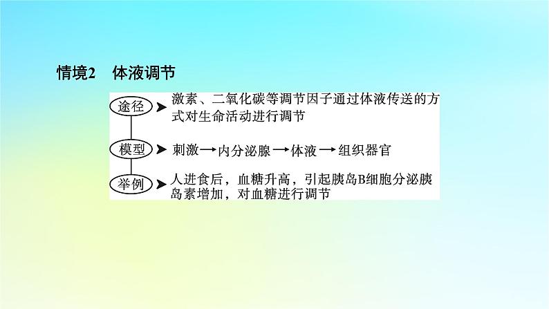 新教材2024版高中生物第3章体液调节微专题5动物生命活动调节模型课件新人教版选择性必修103