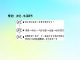 新教材2024版高中生物第3章体液调节微专题5动物生命活动调节模型课件新人教版选择性必修1