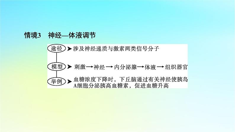 新教材2024版高中生物第3章体液调节微专题5动物生命活动调节模型课件新人教版选择性必修104