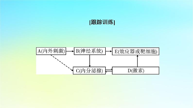 新教材2024版高中生物第3章体液调节微专题5动物生命活动调节模型课件新人教版选择性必修107