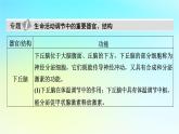 新教材2024版高中生物第3章体液调节章末总结课件新人教版选择性必修1