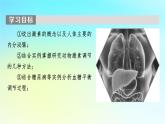 新教材2024版高中生物第3章体液调节第1节激素与内分泌系统课件新人教版选择性必修1