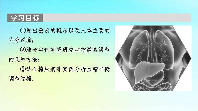 新教材2024版高中生物第3章体液调节第1节激素与内分泌系统课件新人教版选择性必修1第2页