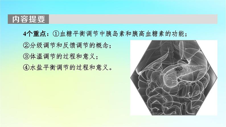 新教材2024版高中生物第3章体液调节第1节激素与内分泌系统课件新人教版选择性必修1第4页