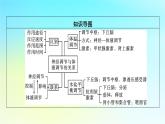 新教材2024版高中生物第3章体液调节第3节体液调节与神经调节的关系课件新人教版选择性必修1