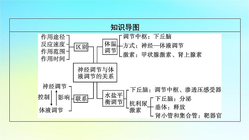 新教材2024版高中生物第3章体液调节第3节体液调节与神经调节的关系课件新人教版选择性必修1第3页