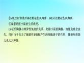 新教材2024版高中生物第4章免疫調節(jié)微專題6免疫功能的實驗探究課件新人教版選擇性必修1