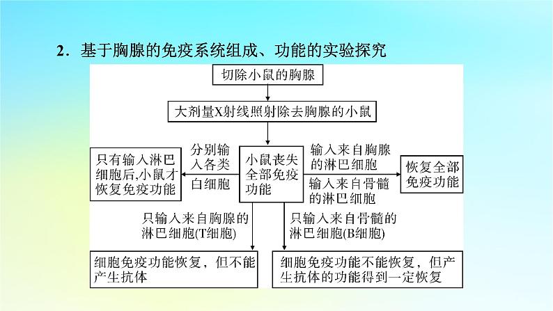 新教材2024版高中生物第4章免疫调节微专题6免疫功能的实验探究课件新人教版选择性必修104