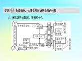 新教材2024版高中生物第4章免疫調節(jié)章末總結課件新人教版選擇性必修1