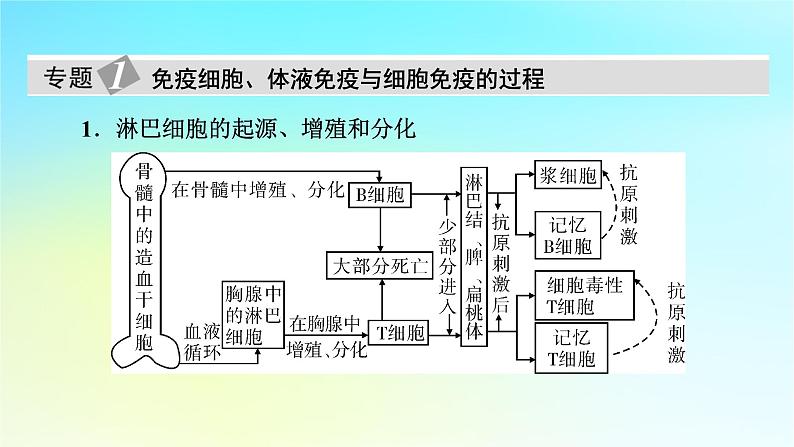 新教材2024版高中生物第4章免疫调节章末总结课件新人教版选择性必修105