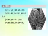 新教材2024版高中生物第4章免疫调节第1节免疫系统的组成和功能课件新人教版选择性必修1