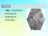 新教材2024版高中生物第4章免疫调节第1节免疫系统的组成和功能课件新人教版选择性必修1