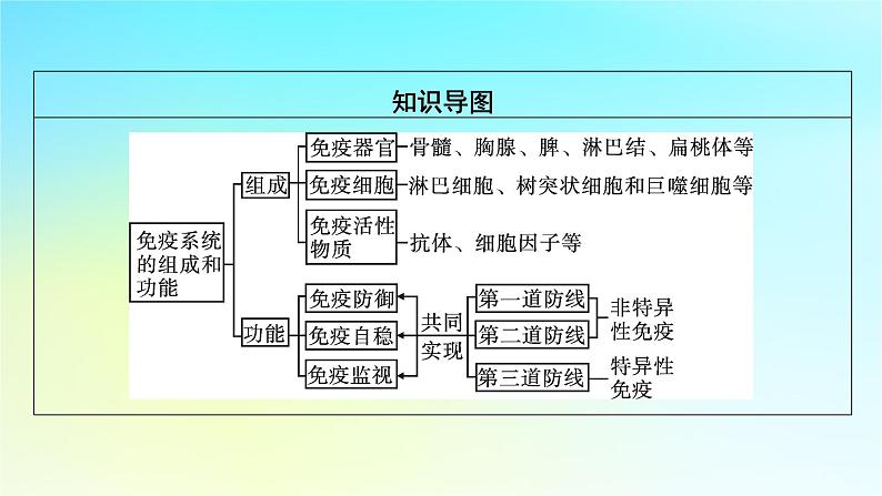 新教材2024版高中生物第4章免疫调节第1节免疫系统的组成和功能课件新人教版选择性必修1第8页