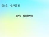 新教材2024版高中生物第4章免疫调节第2节特异性免疫课件新人教版选择性必修1