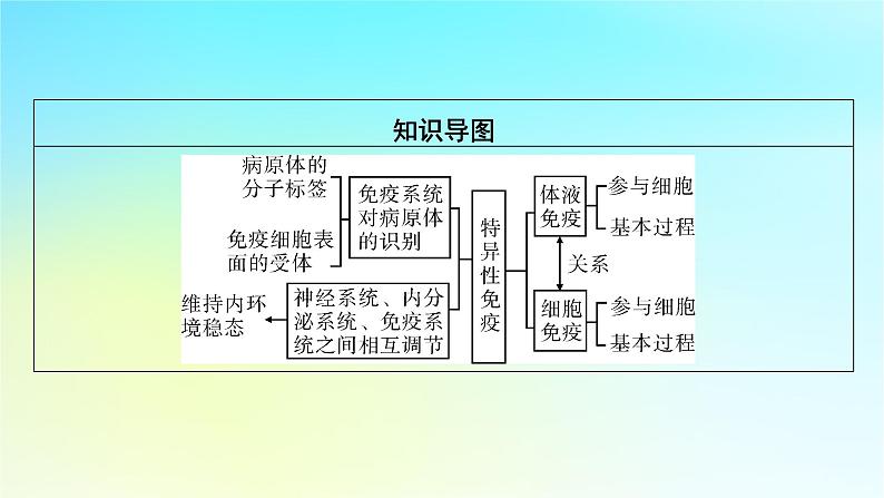 新教材2024版高中生物第4章免疫调节第2节特异性免疫课件新人教版选择性必修1第3页