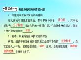 新教材2024版高中生物第4章免疫调节第2节特异性免疫课件新人教版选择性必修1