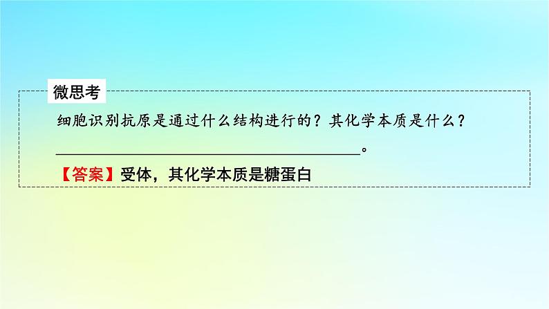 新教材2024版高中生物第4章免疫调节第2节特异性免疫课件新人教版选择性必修1第6页