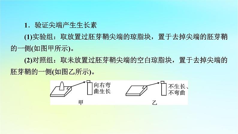 新教材2024版高中生物第5章植物生命活动的调节微专题7与植物激素相关的实验设计课件新人教版选择性必修102