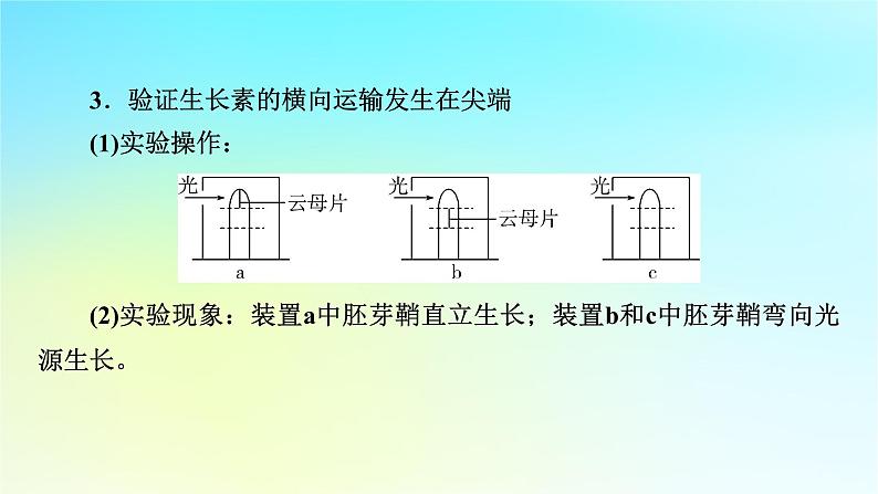 新教材2024版高中生物第5章植物生命活动的调节微专题7与植物激素相关的实验设计课件新人教版选择性必修104