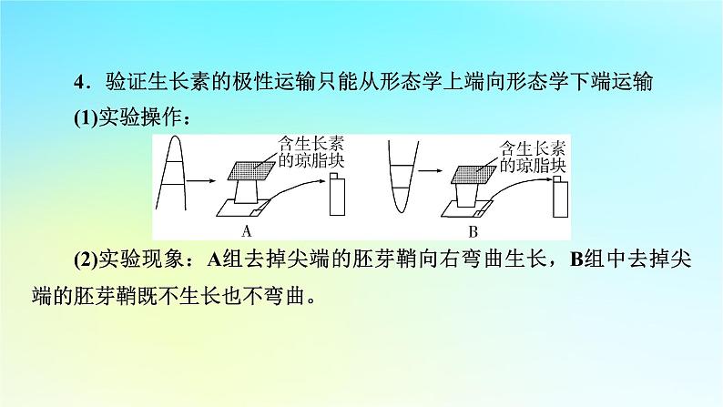 新教材2024版高中生物第5章植物生命活动的调节微专题7与植物激素相关的实验设计课件新人教版选择性必修105