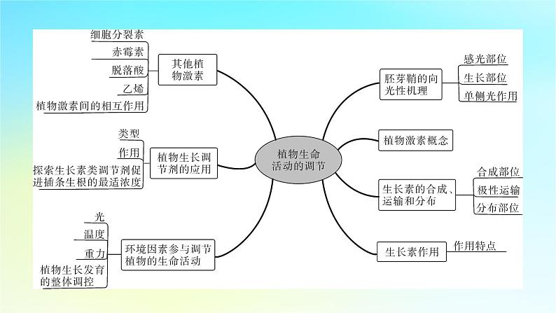 新教材2024版高中生物第5章植物生命活动的调节章末总结课件新人教版选择性必修103