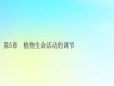 新教材2024版高中生物第5章植物生命活动的调节第1节植物生长素课件新人教版选择性必修1
