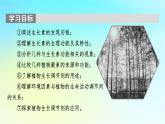 新教材2024版高中生物第5章植物生命活动的调节第1节植物生长素课件新人教版选择性必修1