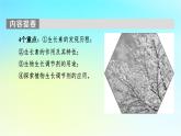 新教材2024版高中生物第5章植物生命活动的调节第1节植物生长素课件新人教版选择性必修1