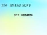 新教材2024版高中生物第5章植物生命活动的调节第2节其他植物激素课件新人教版选择性必修1