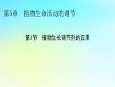 新教材2024版高中生物第5章植物生命活动的调节第3节植物生长调节剂的应用课件新人教版选择性必修1