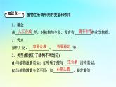 新教材2024版高中生物第5章植物生命活动的调节第3节植物生长调节剂的应用课件新人教版选择性必修1