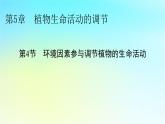 新教材2024版高中生物第5章植物生命活动的调节第4节环境因素参与调节植物的生命活动课件新人教版选择性必修1