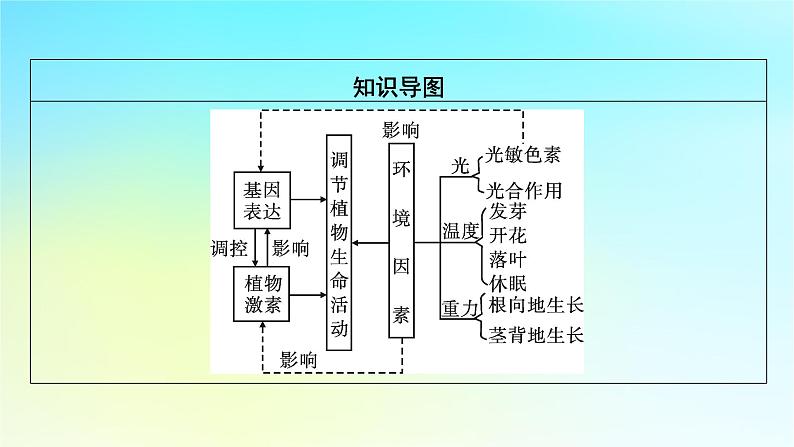 新教材2024版高中生物第5章植物生命活动的调节第4节环境因素参与调节植物的生命活动课件新人教版选择性必修103