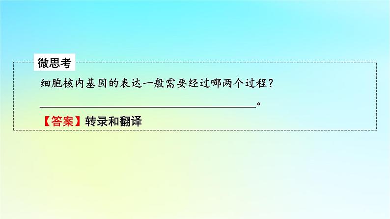 新教材2024版高中生物第5章植物生命活动的调节第4节环境因素参与调节植物的生命活动课件新人教版选择性必修106