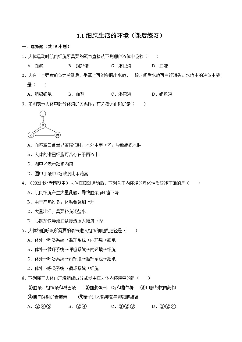 1.1 细胞生活的环境（课后练习）-2023-2024学年高二生物同步讲练测（人教版选择性必修1）01